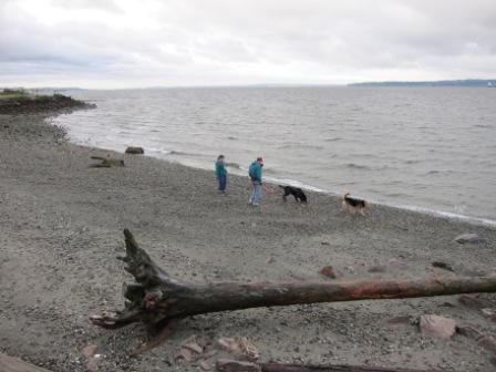66 dog park with Joanne 009