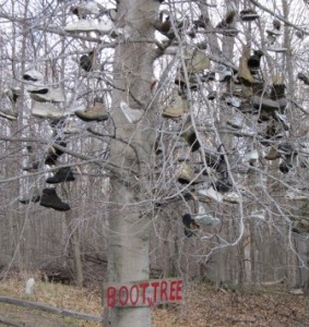 Boot Tree 004